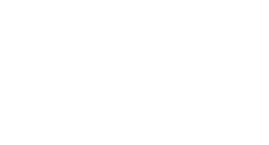 tierisch und menschlich: Hundetraining und tiergestützte Arbeit